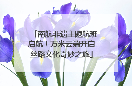 南航非遗主题航班启航！万米云端开启丝路文化奇妙之旅
