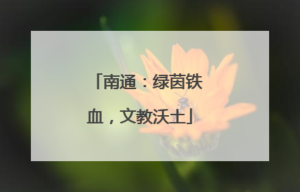 南通：绿茵铁血，文教沃土