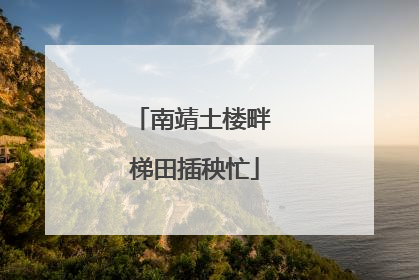 南靖土楼畔 梯田插秧忙