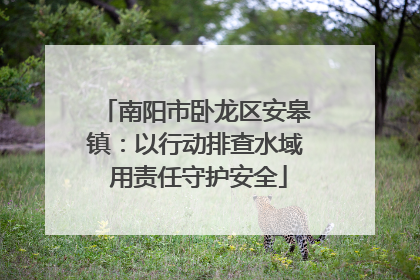 南阳市卧龙区安皋镇：以行动排查水域 用责任守护安全
