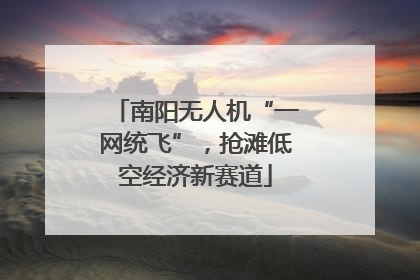 南阳无人机“一网统飞”，抢滩低空经济新赛道