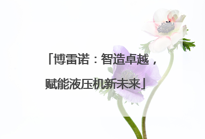 博雷诺：智造卓越，赋能液压机新未来