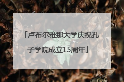 卢布尔雅那大学庆祝孔子学院成立15周年