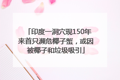 印度一洞穴现150年来首只濒危椰子蟹，或因被椰子和垃圾吸引