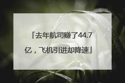 去年航司赚了44.7亿，飞机引进却降速