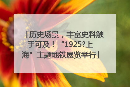 历史场景，丰富史料触手可及！“1925?上海”主题地铁展览举行