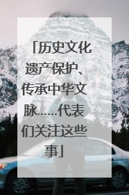 历史文化遗产保护、传承中华文脉……代表们关注这些事