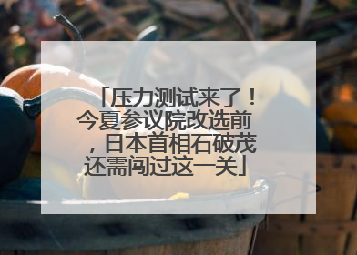压力测试来了！今夏参议院改选前，日本首相石破茂还需闯过这一关