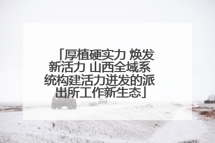 厚植硬实力 焕发新活力 山西全域系统构建活力迸发的派出所工作新生态