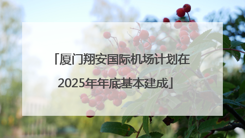 厦门翔安国际机场计划在2025年年底基本建成