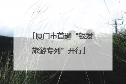 厦门市首趟“银发旅游专列”开行