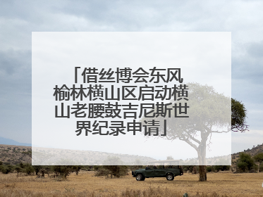 借丝博会东风 榆林横山区启动横山老腰鼓吉尼斯世界纪录申请