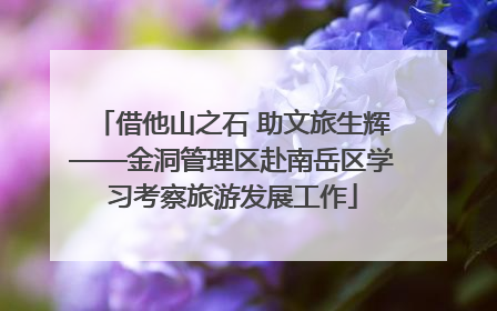 借他山之石 助文旅生辉——金洞管理区赴南岳区学习考察旅游发展工作