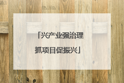 兴产业强治理 抓项目促振兴
