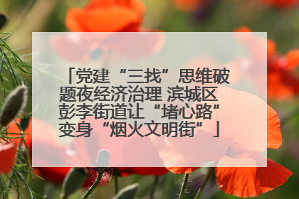 党建“三找”思维破题夜经济治理 滨城区彭李街道让“堵心路”变身“烟火文明街”