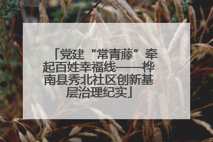党建“常青藤”牵起百姓幸福线——桦南县秀北社区创新基层治理纪实