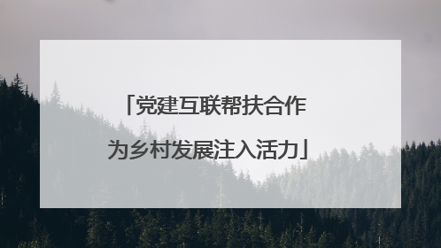 党建互联帮扶合作 为乡村发展注入活力