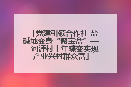 党建引领合作社 盐碱地变身“聚宝盆”——河涯村十年蝶变实现产业兴村群众富