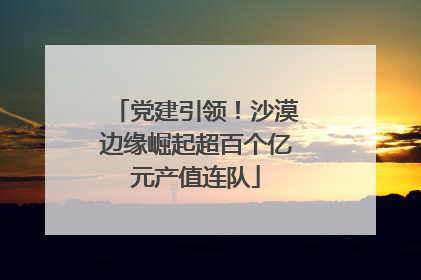 党建引领！沙漠边缘崛起超百个亿元产值连队