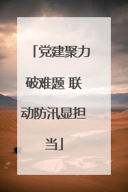 党建聚力破难题 联动防汛显担当