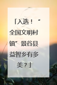 入选！“全国文明村镇”景谷县益智乡有多美？
