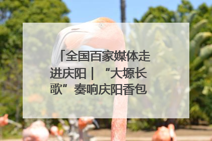 全国百家媒体走进庆阳｜“大塬长歌”奏响庆阳香包民俗文化节序曲