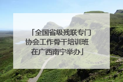 全国省级残联专门协会工作骨干培训班在广西南宁举办