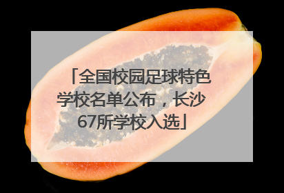 全国校园足球特色学校名单公布，长沙67所学校入选