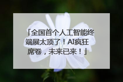 全国首个人工智能终端展太顶了！AI疯狂席卷，未来已来！