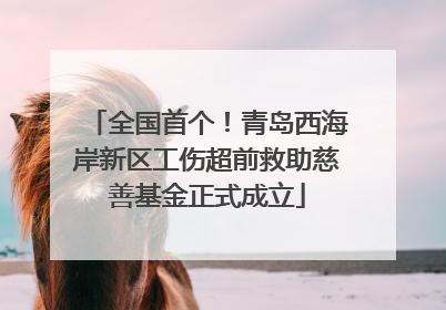 全国首个！青岛西海岸新区工伤超前救助慈善基金正式成立