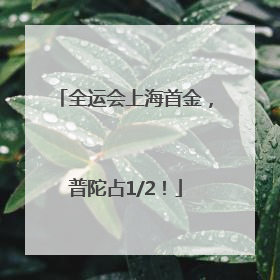 全运会上海首金，普陀占1/2！