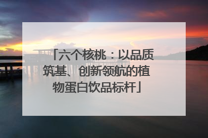 六个核桃：以品质筑基、创新领航的植物蛋白饮品标杆