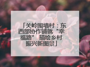 关岭围墙村：东西部协作铺就“幸福路” 描绘乡村振兴新图景