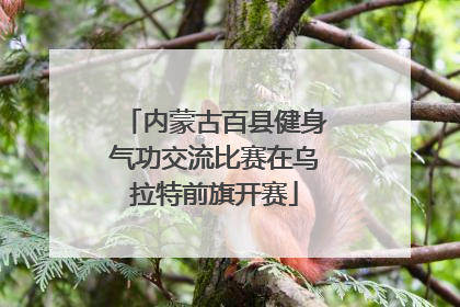 内蒙古百县健身气功交流比赛在乌拉特前旗开赛