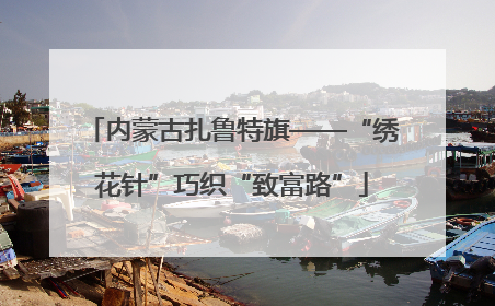内蒙古扎鲁特旗——“绣花针”巧织“致富路”