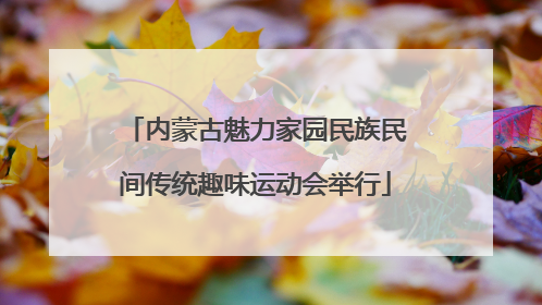内蒙古魅力家园民族民间传统趣味运动会举行