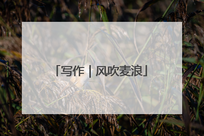 写作｜风吹麦浪