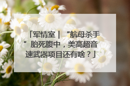 军情室｜“航母杀手”胎死腹中，美高超音速武器项目还有啥？