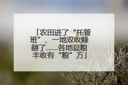 农田进了“托管班”、一地双收赚翻了……各地夏粮丰收有“粮”方
