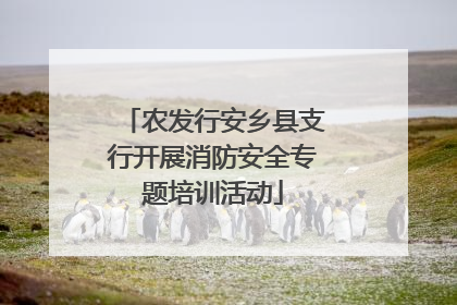 农发行安乡县支行开展消防安全专题培训活动