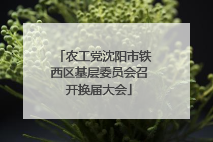 农工党沈阳市铁西区基层委员会召开换届大会