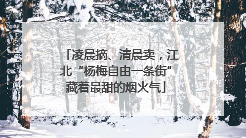 凌晨摘、清晨卖，江北“杨梅自由一条街”藏着最甜的烟火气