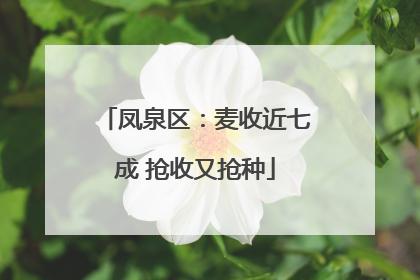 凤泉区：麦收近七成 抢收又抢种