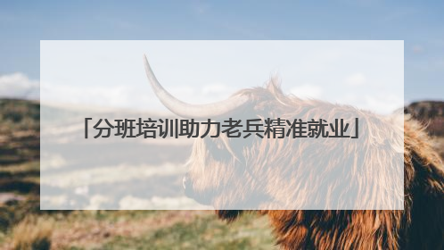 分班培训助力老兵精准就业