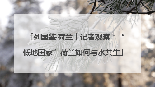 列国鉴·荷兰丨记者观察：“低地国家”荷兰如何与水共生