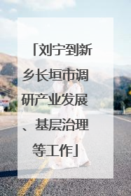 刘宁到新乡长垣市调研产业发展、基层治理等工作