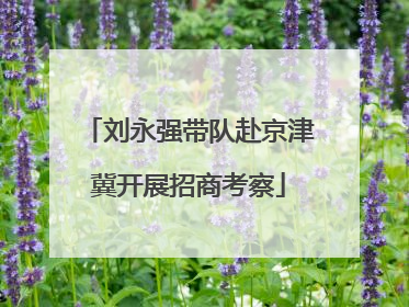 刘永强带队赴京津冀开展招商考察