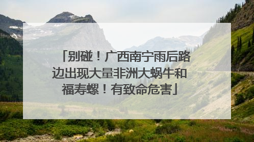 别碰！广西南宁雨后路边出现大量非洲大蜗牛和福寿螺！有致命危害