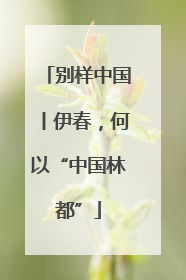 别样中国丨伊春，何以“中国林都”