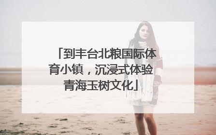 到丰台北粮国际体育小镇，沉浸式体验青海玉树文化